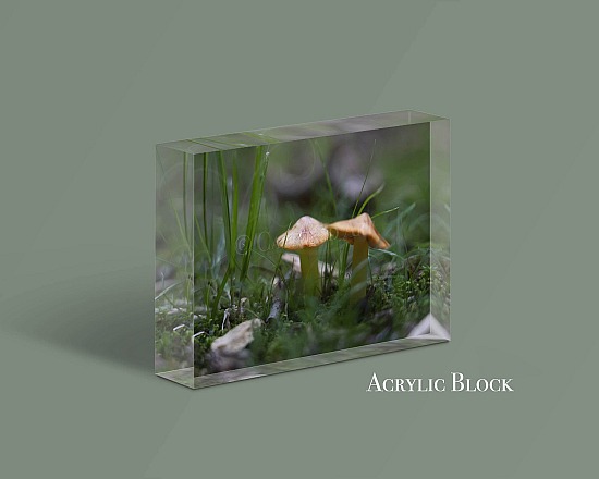 Acrylic Prints and Blocks